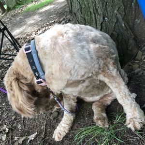 Meet your Posher, Latoya